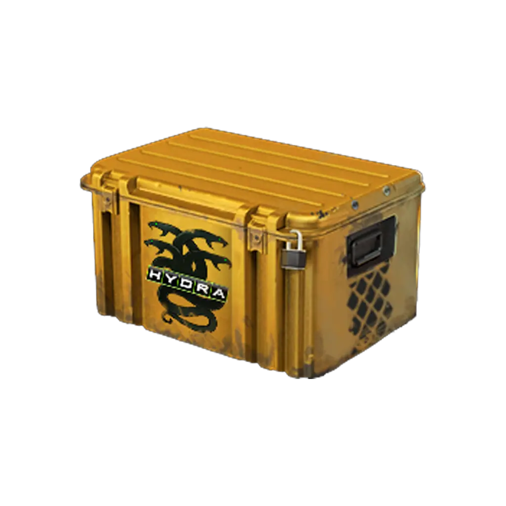 case preview