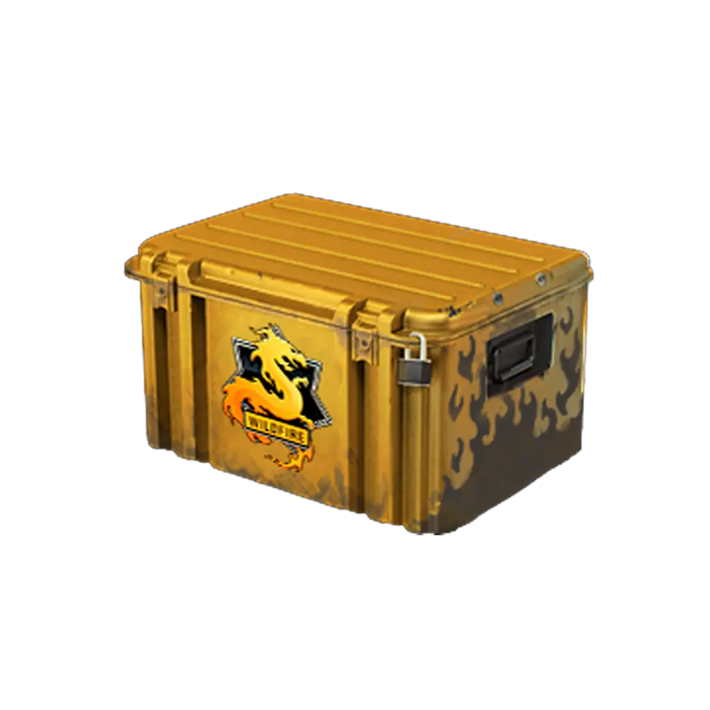case preview